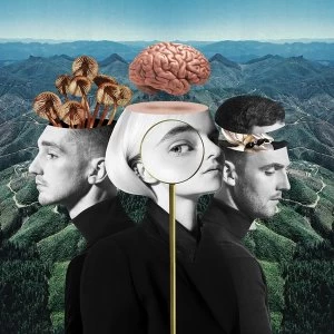 Image of Clean Bandit - What Is Love? (Deluxe Edition) Vinyl