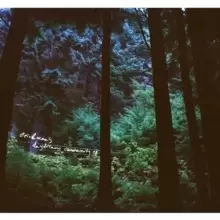 Image of Stein & Mari's Daydream Community