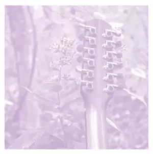 Image of VDSQ Solo Acoustic - Volume 12 by Sarah Louise Vinyl Album