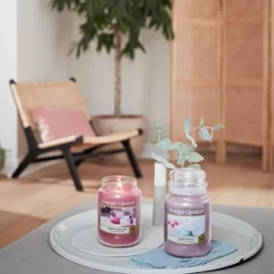 Image of Sweet Plum Sake