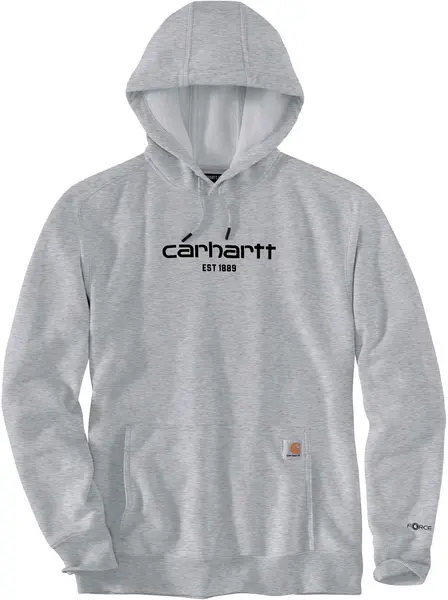 Image of Carhartt Lightweight Logo Graphic Hoodie, grey, Size S