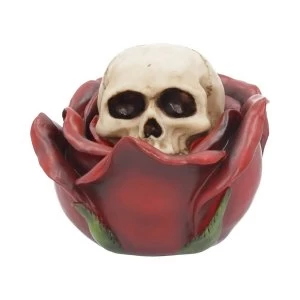 Image of Beauty and the Deceased Box