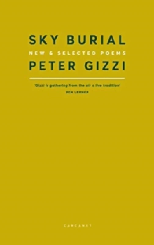 Image of Sky Burial : New and Selected Poems Paperback / softback
