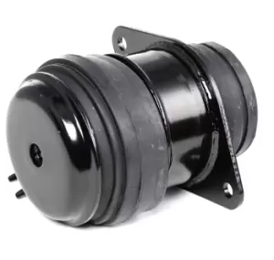 Image of RIDEX Engine mount 247E0032 Motor mount,Engine mounting bracket VW,SEAT,GOLF III (1H1),Golf III Cabrio (1E7),Golf IV Cabrio (1E)