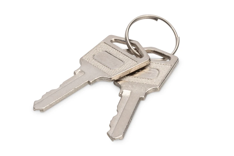 Image of Digitus Keys for loading lockers (trolleys)