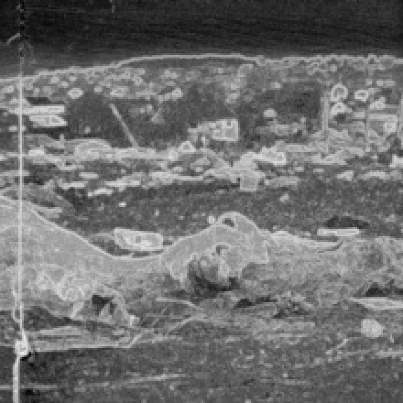 Image of Knife Play CD / Album