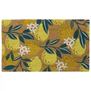 Image of Eco-Friendly Latex Backed Coir Door Mat, Lemons - JVL