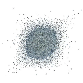 Image of I.P.Y. - IPY CD