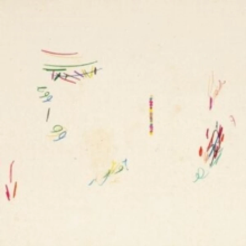 Image of Glass band Vinyl