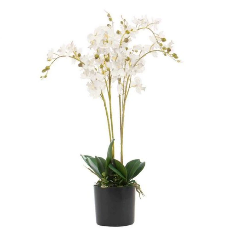 Image of Leaf 60cm Leaf Design UK Realistic Artificial Orchid Flower Display in Pot White unisex
