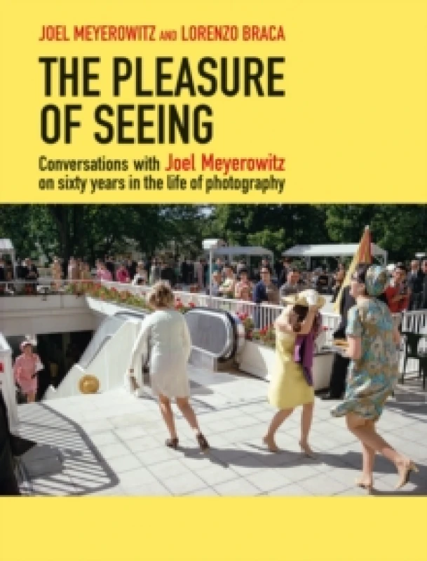 Image of The Pleasure of Seeing : Conversations on Joel Meyerowitz's sixty years in the life of photography Hardback