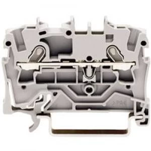 Image of Continuity 4.20 mm Pull spring Configuration L Grey