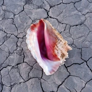 Image of The Killers - Wonderful Wonderful CD