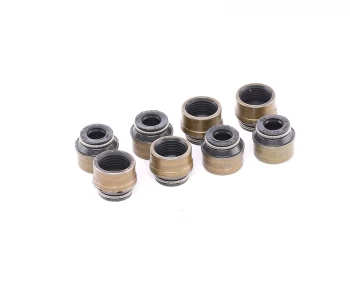 Image of REINZ Seal Set, valve stem RENAULT,DACIA,VW 12-31306-07 0361096758x,11349065438,0956388x 77011098408x,0956388x,77001098408x,0361096758x,0361096758x