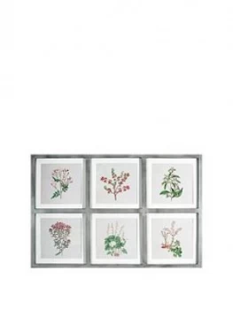 Image of Arthouse Botanical Multi Aperature Framed Print