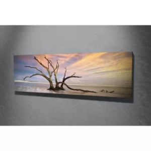 Image of PC019 Multicolor Decorative Canvas Painting