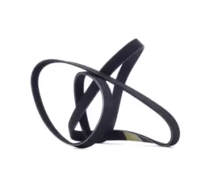 Image of RIDEX V-ribbed belt 305P0466 Serpentine belt,Auxiliary belt BMW,OPEL,FORD,1 Schragheck (E87),1 Schragheck (E81),1 Coupe (E82),1 Cabrio (E88)