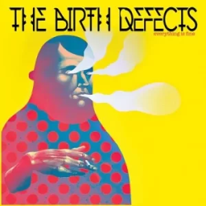 Image of Everything Is Fine by The Birth Defects Vinyl Album