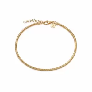 Image of Daisy London 18ct Gold Plate Round Snake Chain Bracelet 18ct Gold Plate