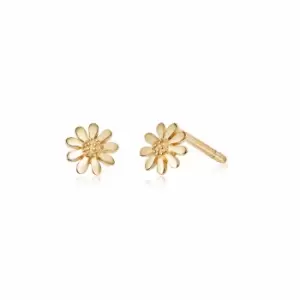 Image of Daisy London Jewellery 925 Sterling Silver and 18ct Gold Plate Marguerite Daisy Stud Earrings 18ct Gold Plate