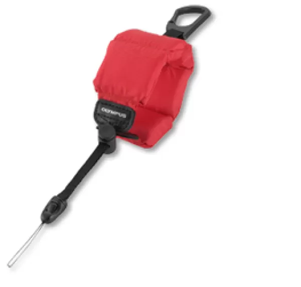 Image of Olympus CHS-09