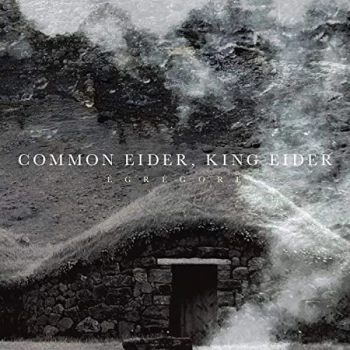 Image of Common Eider / King Eider - Egregore CD