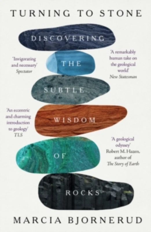 Image of Turning to Stone Paperback / softback