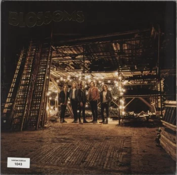 Image of Blossoms Blossoms - 180gm - Autographed - Sealed 2016 UK vinyl LP V3156