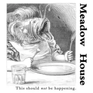 Image of This Should Not Be Happening by Meadow House Vinyl Album