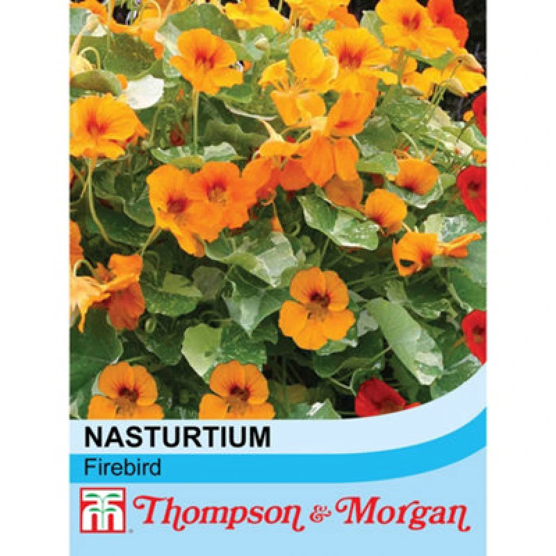 Image of THOMPSON & MORGAN Nasturtium Firebird 1 Seed Packet (30 Seeds) 48322