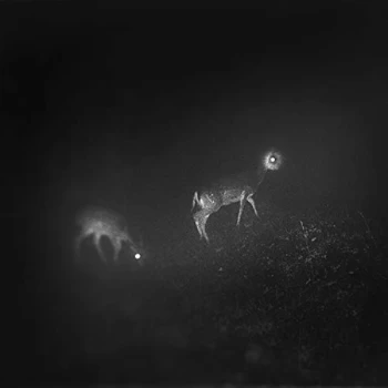 Image of Bliss Signal - Bliss Signal CD