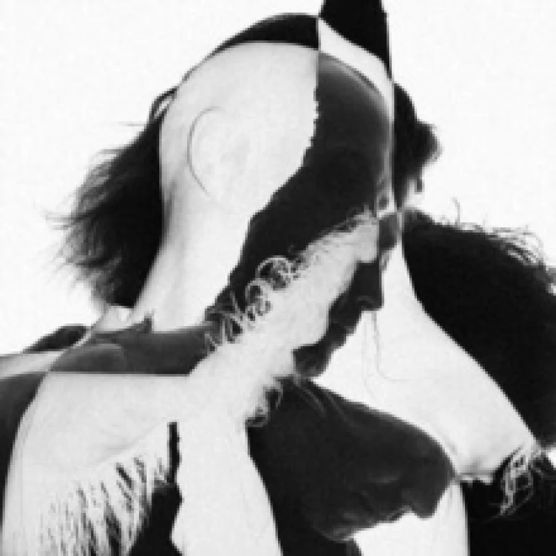 Image of Preoccupations - Arrangements [CD / Album] Music CDs - Music CD