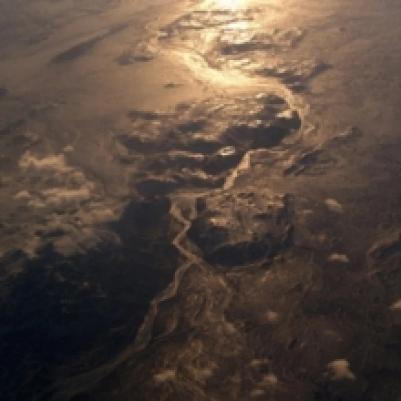 Image of Inland Delta Vinyl