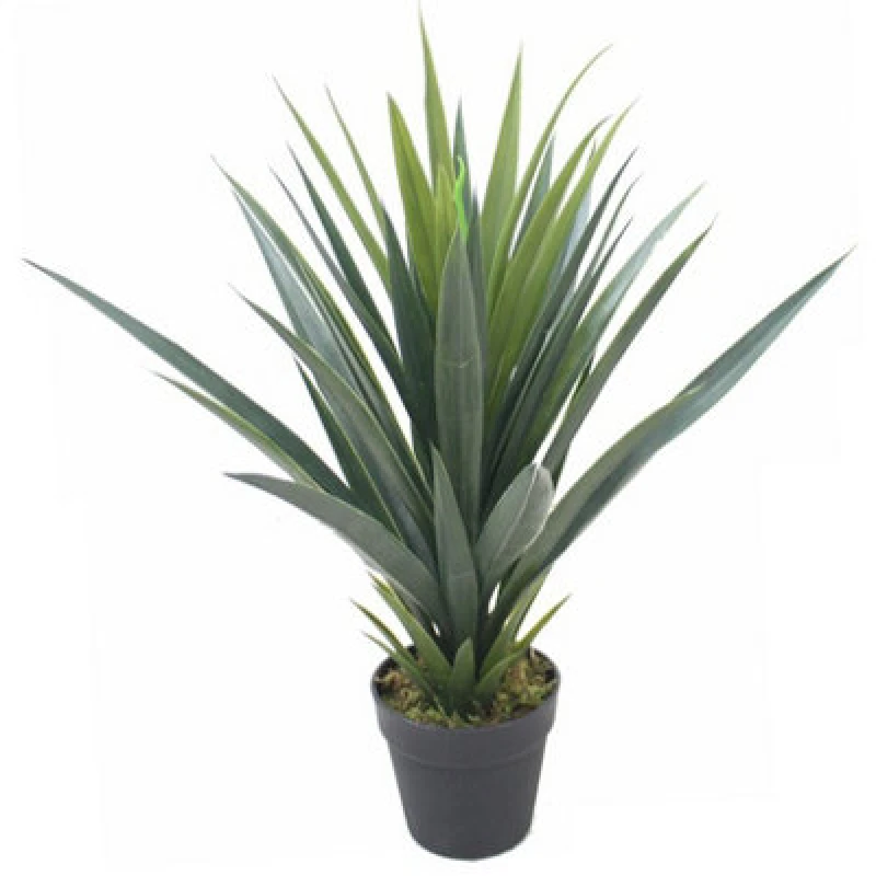 Image of Leaf 60cm Artificial Agave Succulent Yukka Style Green Plant Green