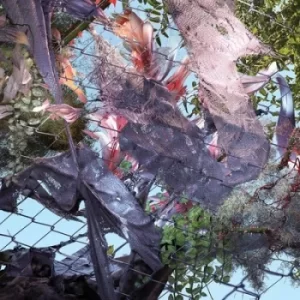 Image of Tears in the Club by Kingdom CD Album