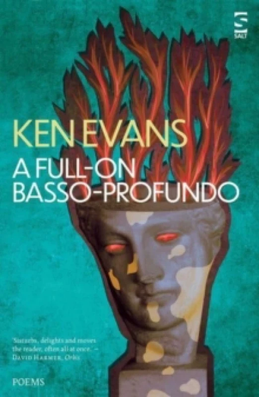 Image of A Full-On Basso Profundo Paperback / softback