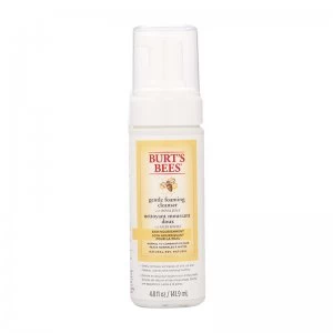 Image of Burt's Bees Skin Nourishment Gentle Foaming Cleanser 141.9ml
