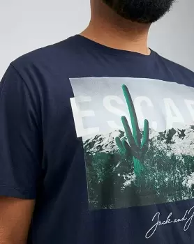 Image of Jack & Jones Sun Strike Crew T-Shirt