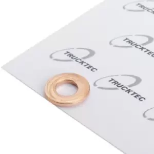 Image of TRUCKTEC AUTOMOTIVE Heat Shield, injection system MERCEDES-BENZ,MITSUBISHI,SMART 02.10.080 6110170460,A6110170460