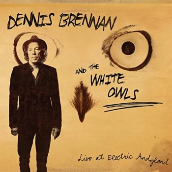Image of Dennis Brennan & The White Owl - Live at Electric Andyland CD