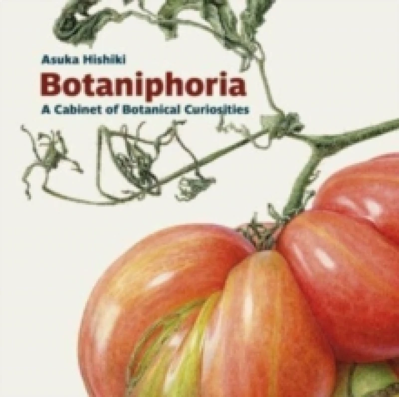 Image of Botaniphoria: A Cabinet of Botanical Curiosities Paperback / softback