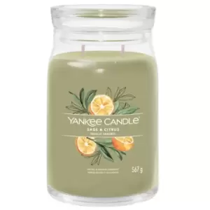 Image of Yankee Candle Signature Jar Candle Large Jar Sage & Citrus 567g