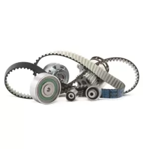 Image of DAYCO Water Pump + Timing Belt Kit KTBWP7880 VW,AUDI,SKODA,Passat Variant (3C5),GOLF VI (5K1),Polo Schragheck (6R1, 6C1),TIGUAN (5N_)