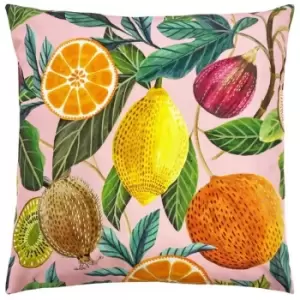 Image of Evans Lichfield Citrus Outdoor Cushion Cover (One Size) (Multicoloured)
