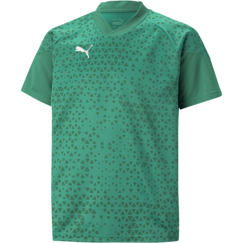 Image of Puma Teamcup Training Jersey Jr T-Shirt Unisex Kids - Green Green 11 - 12 Years
