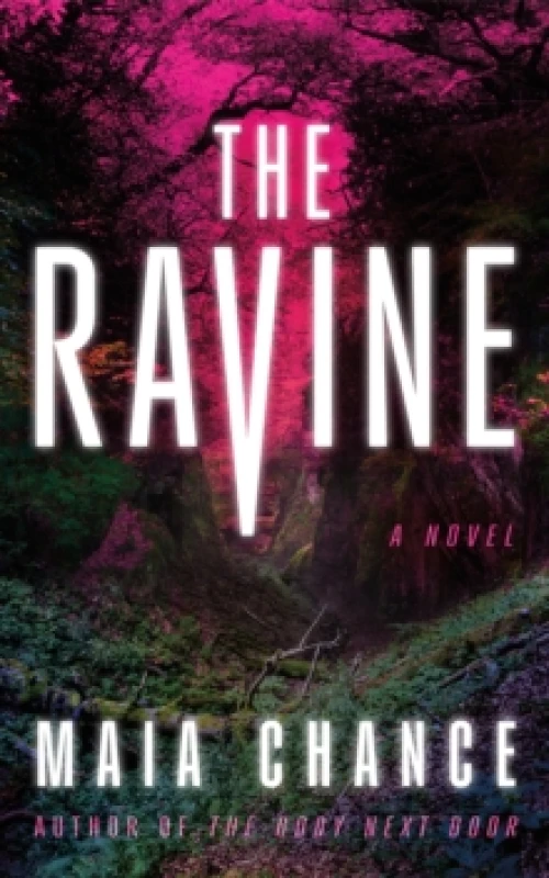 Image of The Ravine : A Novel Paperback / softback