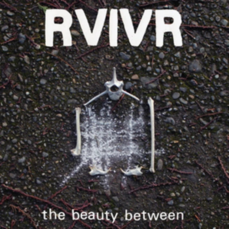 Image of RVIVR The Joester Sessions '08 - '11 (CD) Album