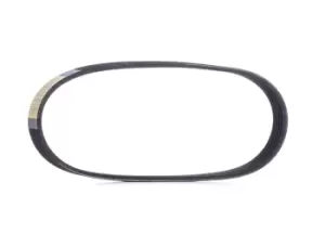 Image of RIDEX V-ribbed belt FIAT,ALFA ROMEO 305P0498 55193361,55193361 Serpentine belt,Auxiliary belt,Poly V-belt,Ribbed belt,Multi V-belt,Poly belt