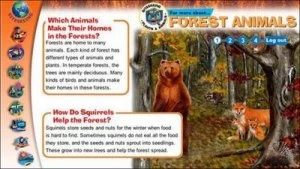 Image of Forest Giants - Infosteps by Lynette Evans Paperback