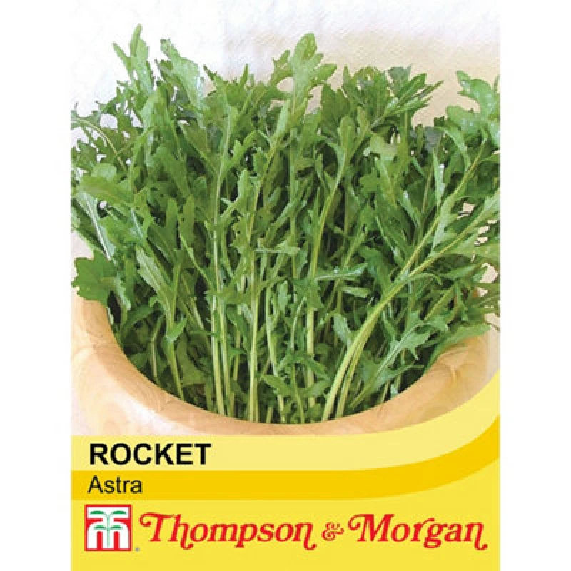 Image of Thompson & Morgan Salad Leaves Rocket Astra 1 Seed Packet (400 Seeds)